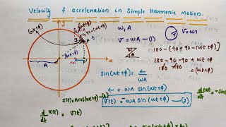 Velocity and Acceleration in Simple Harmonic Motion// Class 11 Physics // Chapter 14 Oscillations