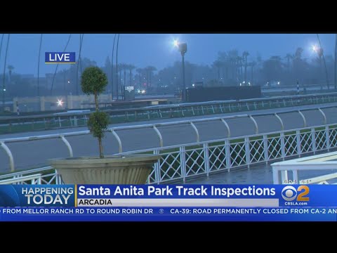 Experts Examine Closed Santa Anita Racetrack After 21 Horse Deaths