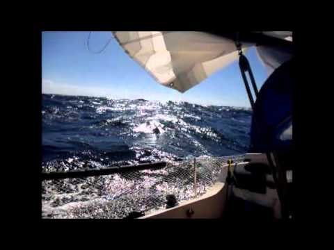 Phillip Island to Wilsons Prom in a Trailer Sailer