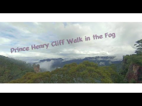 Príncipe Henry Cliff anda no nevoeiro