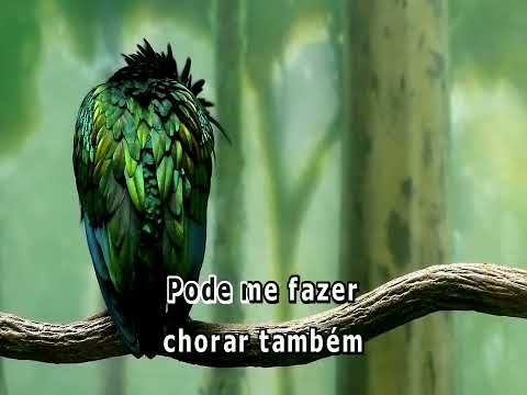 Largo Tudo E Venho Te Buscar - Os Vips