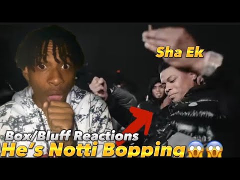 Sha EK Is Notti Bopping??? Sha Ek Box/Bluff Reaction