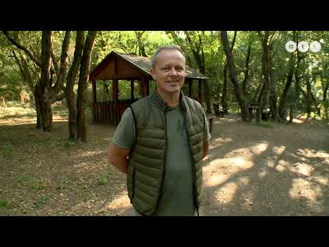 Albertirsa a Hazahúzó TV műsorban (2023.10.22)