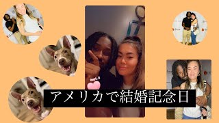 アメリカで結婚記念日9年目を迎えました|愛犬の誕生日