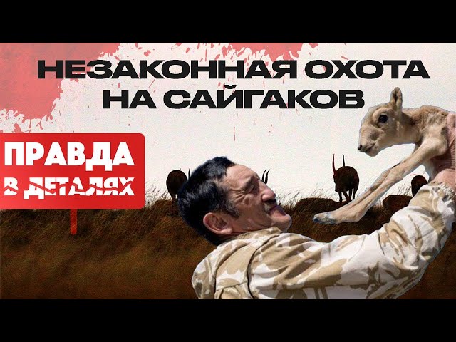 От браконьерства до нападения на инспекторов