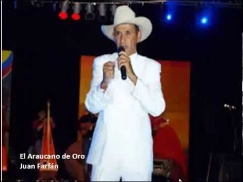 El araucano de oro - Juan Farfán