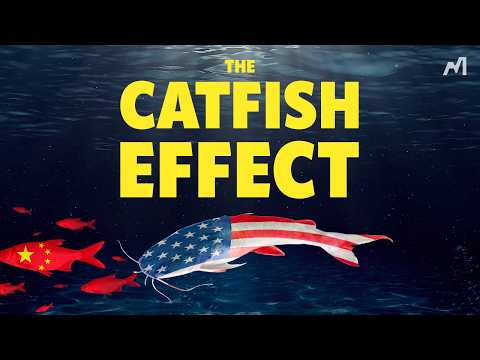 Why Hasn't China Collapsed?