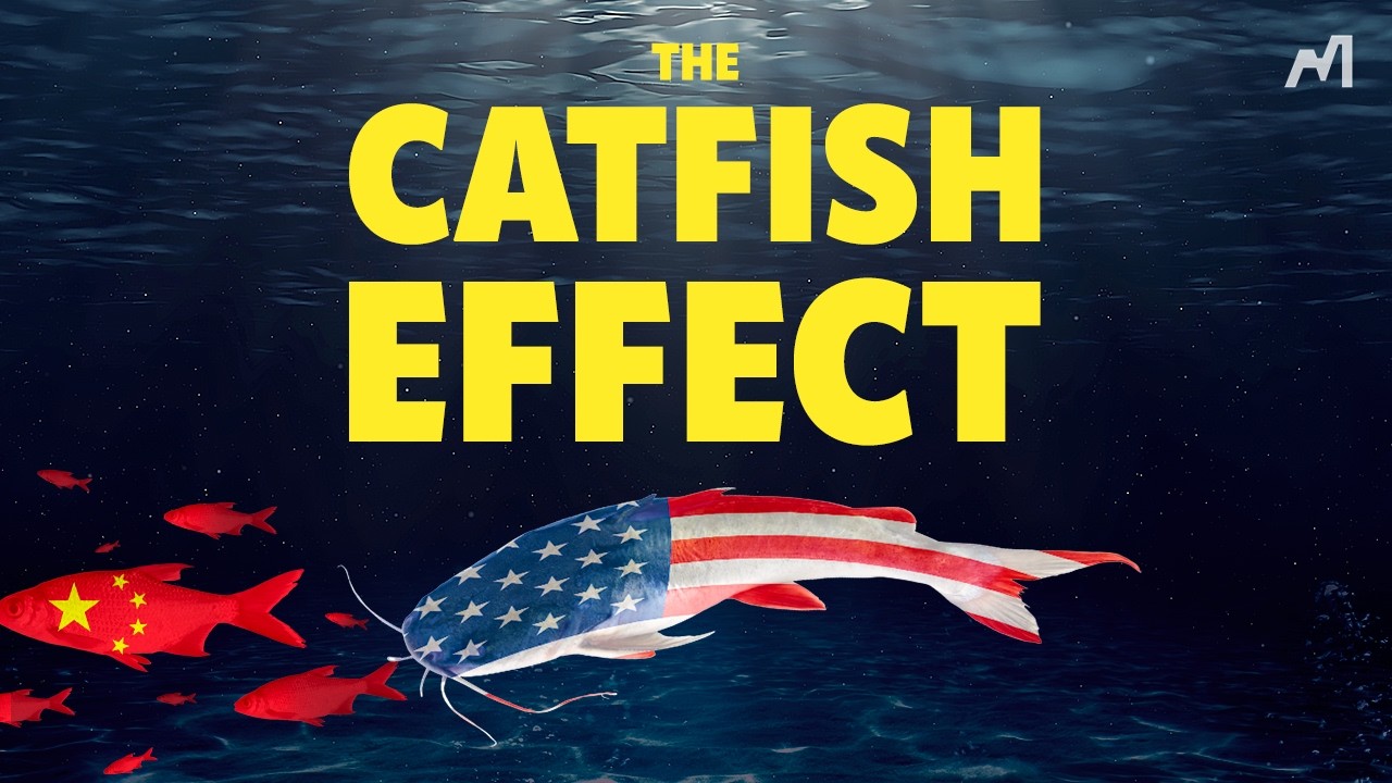 Why Isn’t China Collapsing?