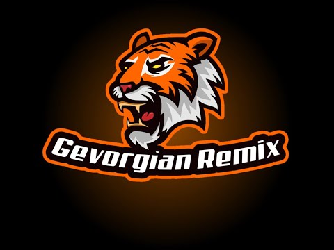 Bagardi - MST(Gevorgian Remix)