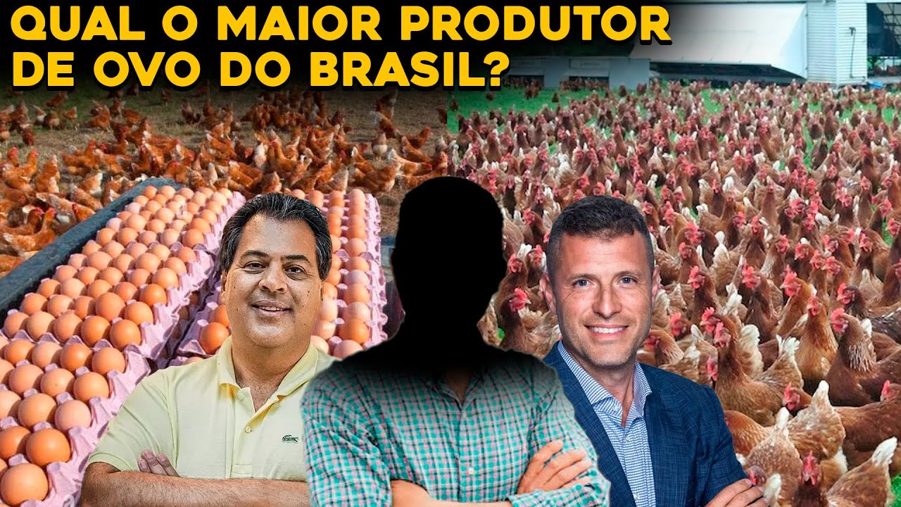 TOP 3 MAIORES PRODUTORES DE OVOS DO BRASIL - MILHÕES DE OVOS!