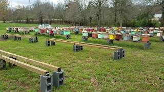 Very important Message to the new beekeepers