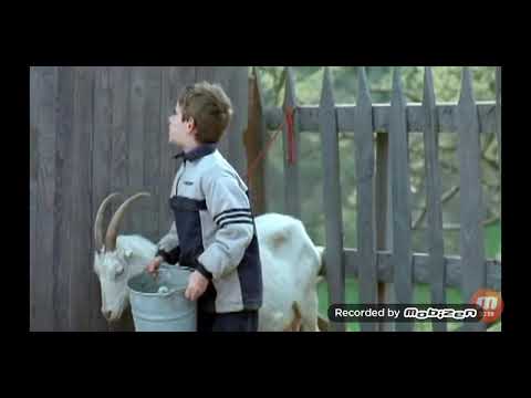 Dečko gdje je BABO?  SEREEE!!!