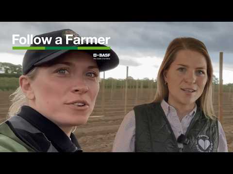 Rekordskörd, nyplantering och oväntade effekter i rapsen! - Follow a Farmer, Orelund, S4E3