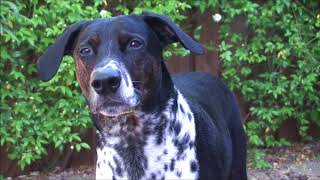 Bing...my best friend.  I miss him.