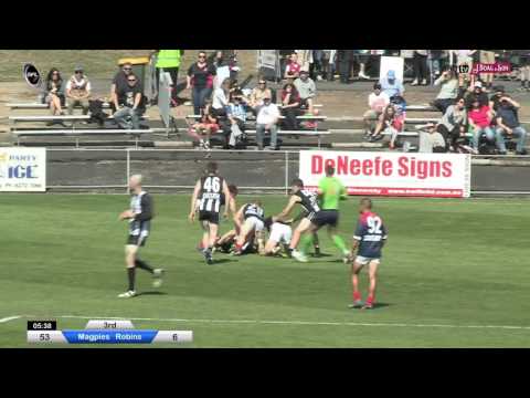 2015 SFL Reserves Grand Final Highlights