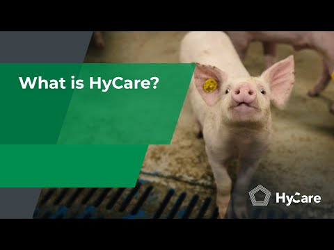 What is HyCare? | EN subs