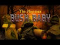 THE BUSH BABY EGBERE Legend Of The Little Monster In The Nigerian Forest