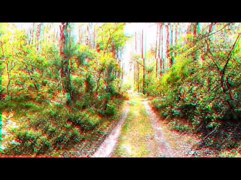 Shako x Maka Makson (JKJ Squad) Lustra