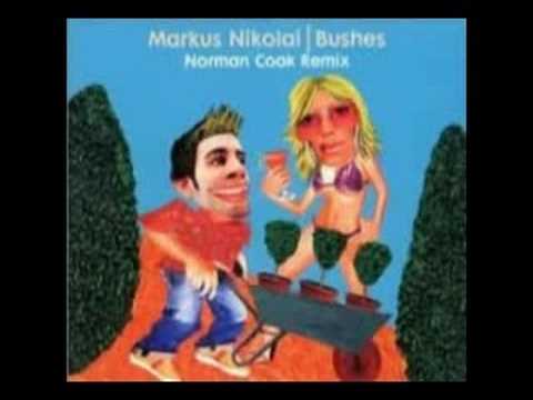 markus nikolai - bushes (norman cook rmx)