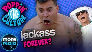 For the Love of Jackass | Ashley Reyes Interview | The Long Night video