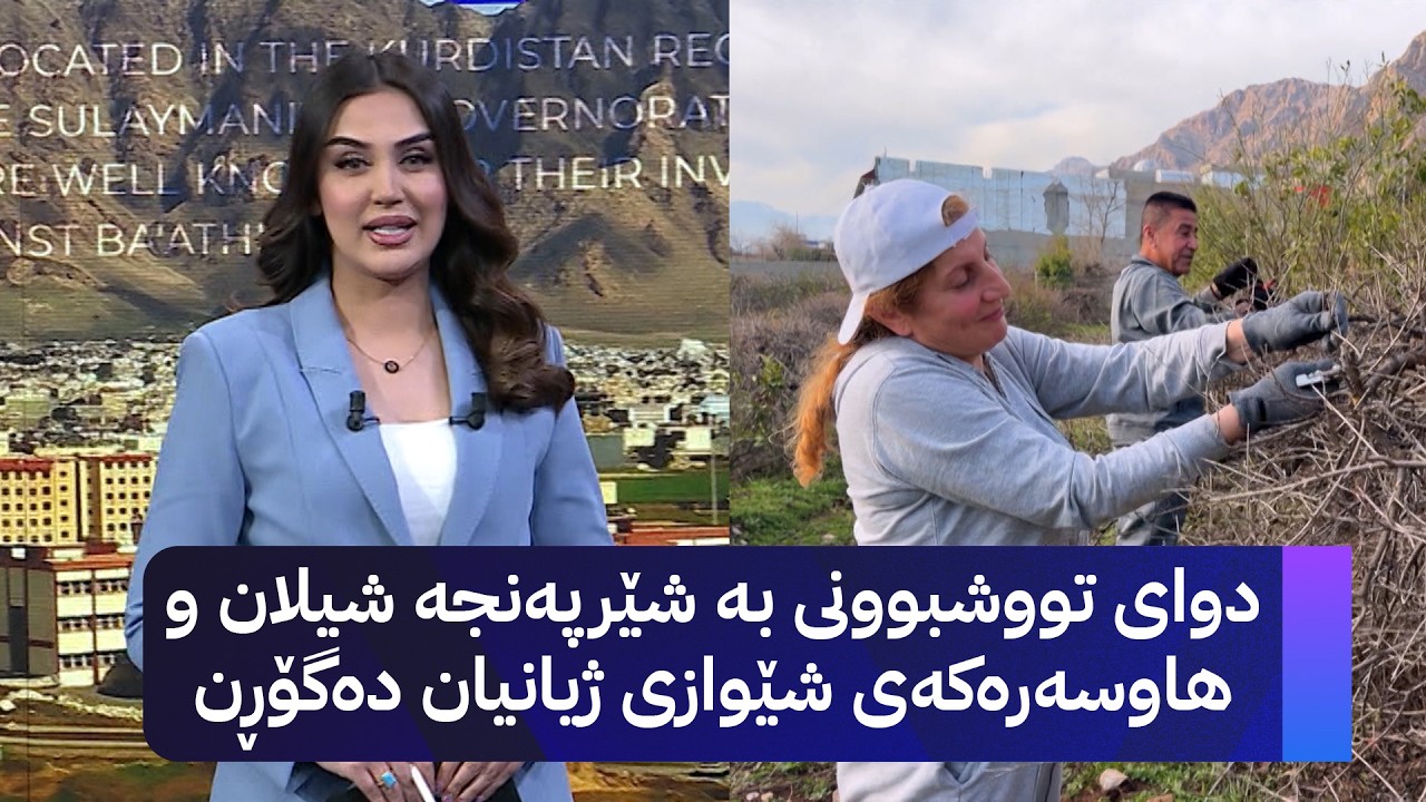 ڤیدیۆ | دوو هاوسەری ڕانیە پاسکیلیان کردووە بە جێگرەوەی ئۆتۆمبێل و نەریتی ڕۆژانەیان