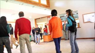 preview picture of video 'Flashmob en Villa La Angostura'