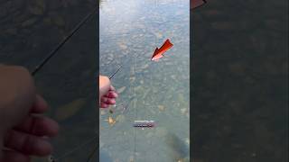 Download lagu strike boskuuu #fishing #fish #mancing #mancingmania #shorts mp3