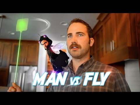 Man vs Fly | David Lopez