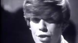 Hermans Hermits - Mrs  Brown you&#39;ve got a lovely daughter 1965