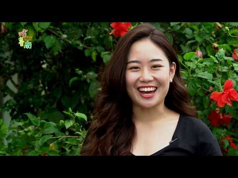 ホット台南EP7.コルディア・ダイコトマ (Hot Tainan EP7. Cordia Dichotoma)