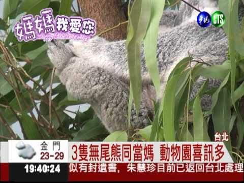 母親節快樂 動物媽媽也開心!