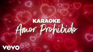 Grupo Bryndis - Amor Prohibido (Karaoke)