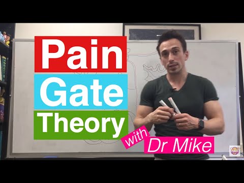 Pain Gate Theory