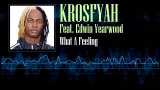 Krosfyah Feat. Edwin Yearwood  - What A Feeling