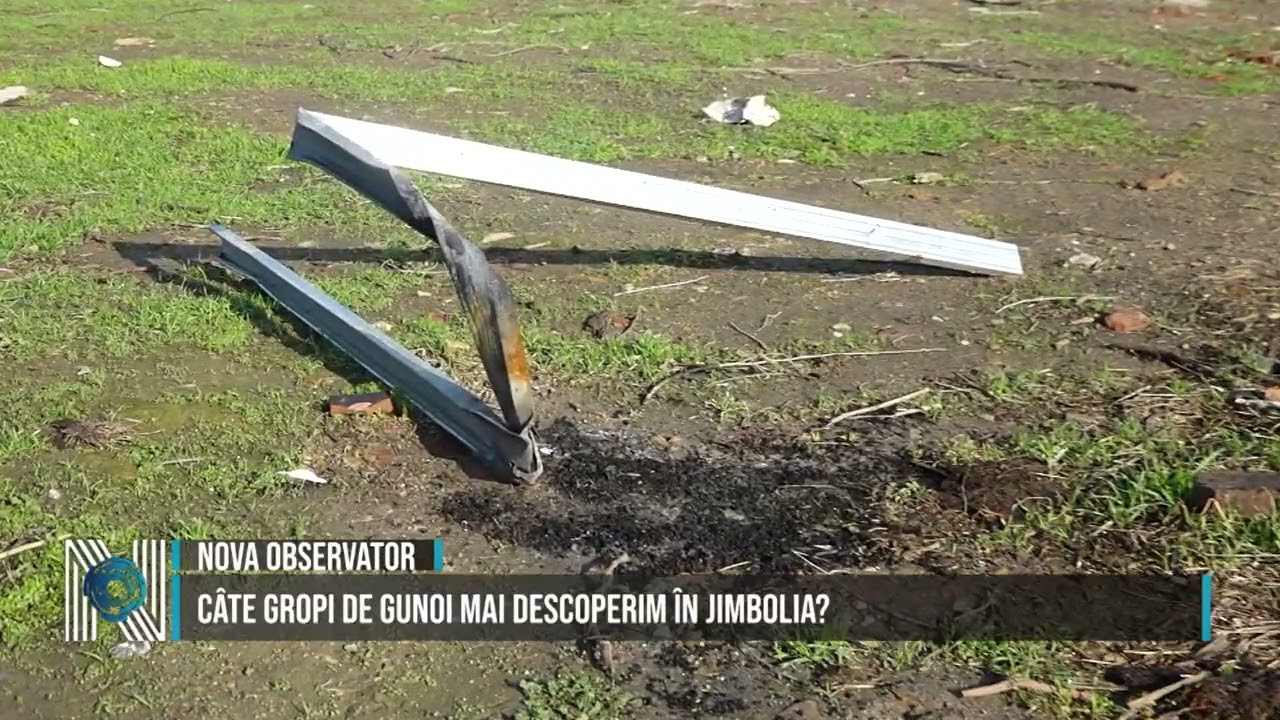 CÂTE GROPI DE GUNOI MAI DESCOPERIM ÎN JIMBOLIA?