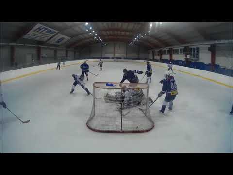 gol negol brankoviste