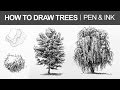Different Types of Trees Drawing