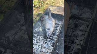 Download lagu Memanggang Kepala Ikan Raksasa – Bagian Terbaik yang Tidak Anda Makan! 🐟🔥 (Renyah & Lezat) mp3