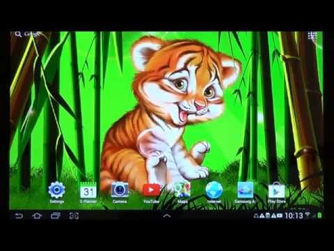 Cute tiger cub live wallpaper Video
