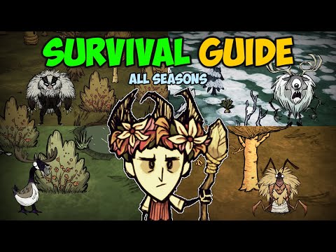Ultimate Beginner Survival Guide (ALL Seasons) Don't Starve Together