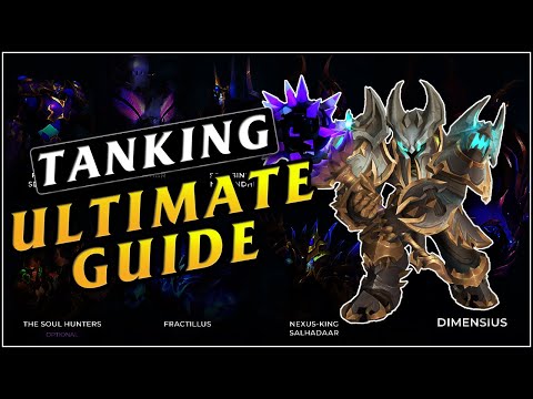 Manaforge Omega Tank Guide - LFR, Normal, and Heroic