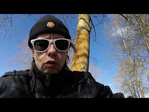 Aurinkista tiistain ilta päivää