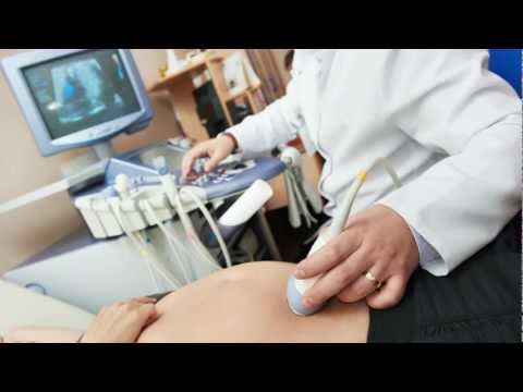 Pregnancy: What to Expect Week 15 -- Learning the Gender