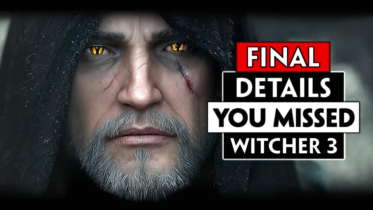 The Last 'Details You Missed' in the Witcher 3. - YouTube