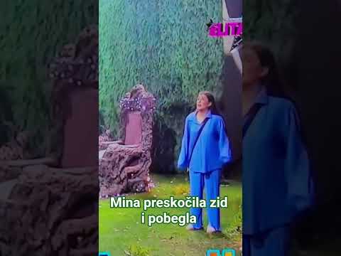 MINA PRESKOČILA ZID I POBEGLA