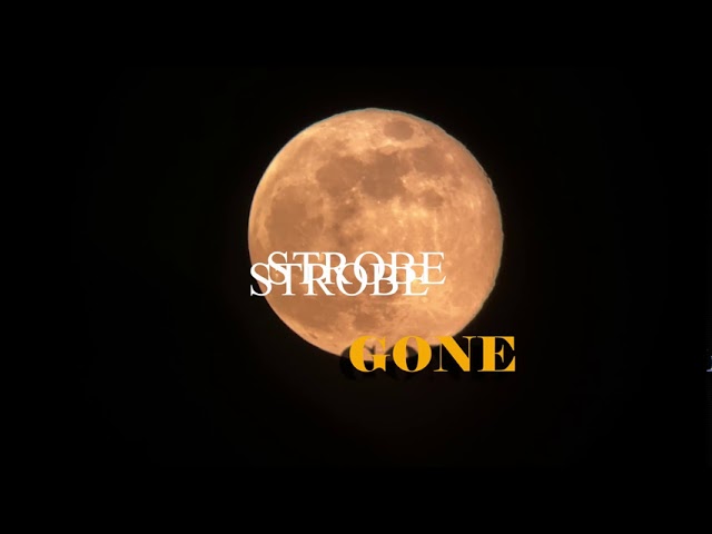 Strobe - Gone (CBM) (Remix Stems)