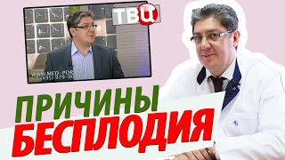 Телепередача Доктор И от 9 февраля 2017 года, ТВЦ