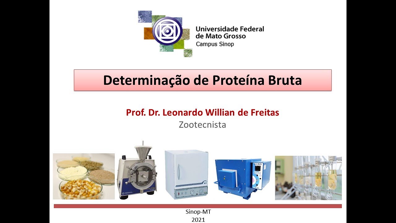 Análise de Proteína Bruta