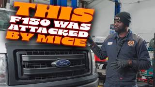 FORD F150 - Code P0446 - Sometimes We Get Lucky - EVAP System Vent Control Circuit - Diag & Repair