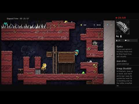 Spelunky expert guide